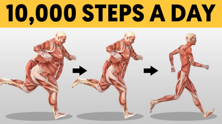 What Happens to Your Body When You Walk 10000 Steps a Day
